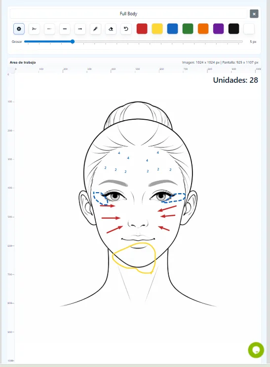 Body mapping interactivo